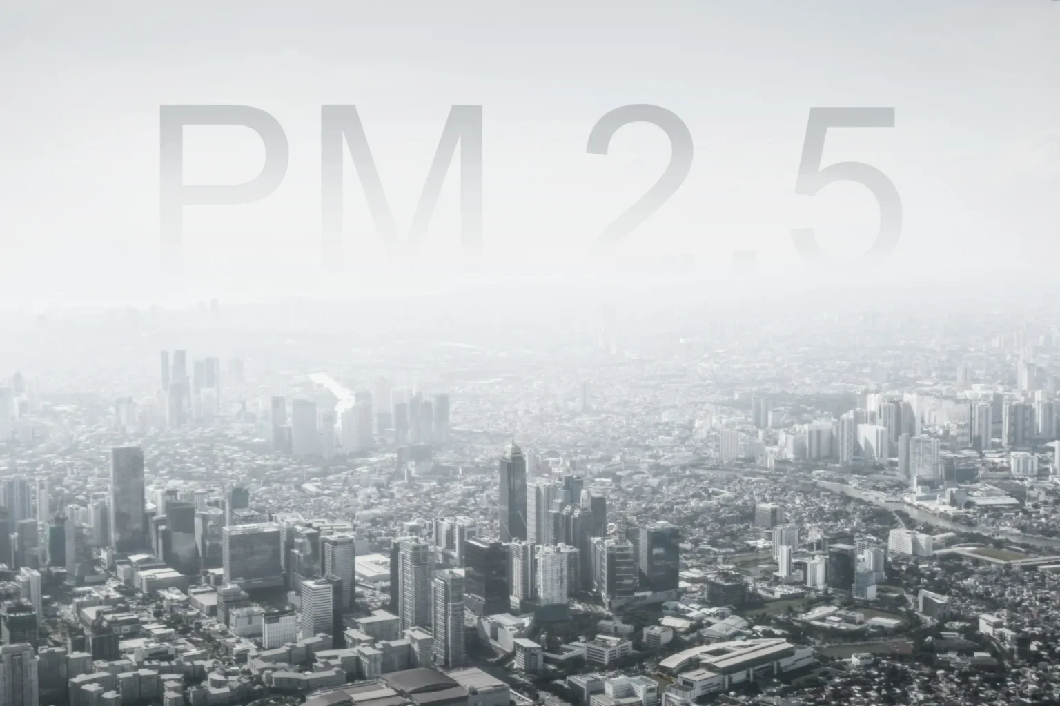 چگونه ذرات PM2.5 را در منزل کاهش دهیم؟