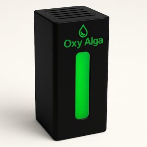 Oxy Alga Normal