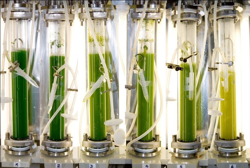 هزینه ماهیانه نگهداری دستگاه تصفیه هوا: از فیلتر تا برق