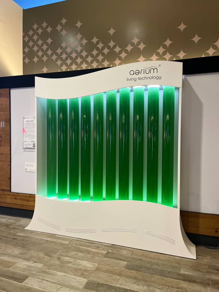 ترکیه- امارات